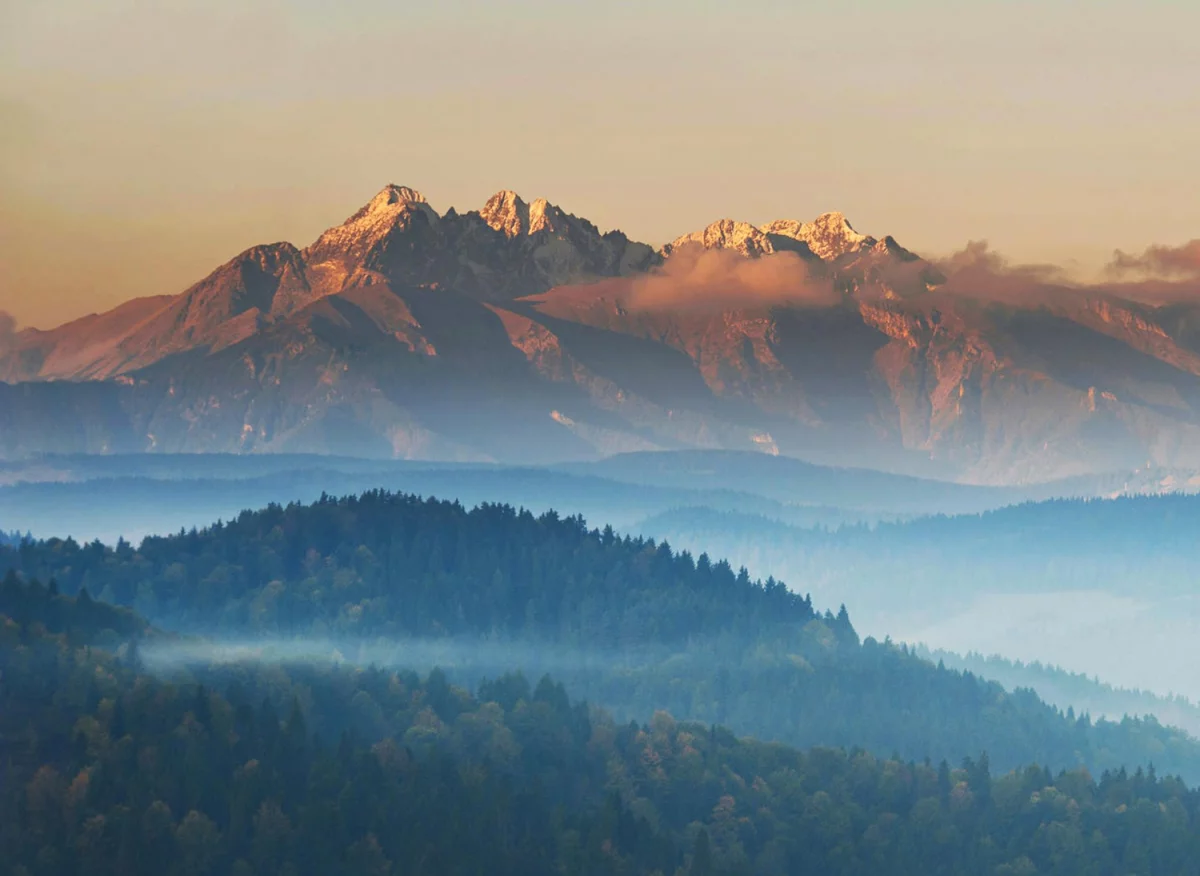 2024 jest dobry aby  budować dom
